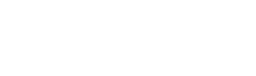 CHIPVAS LLC